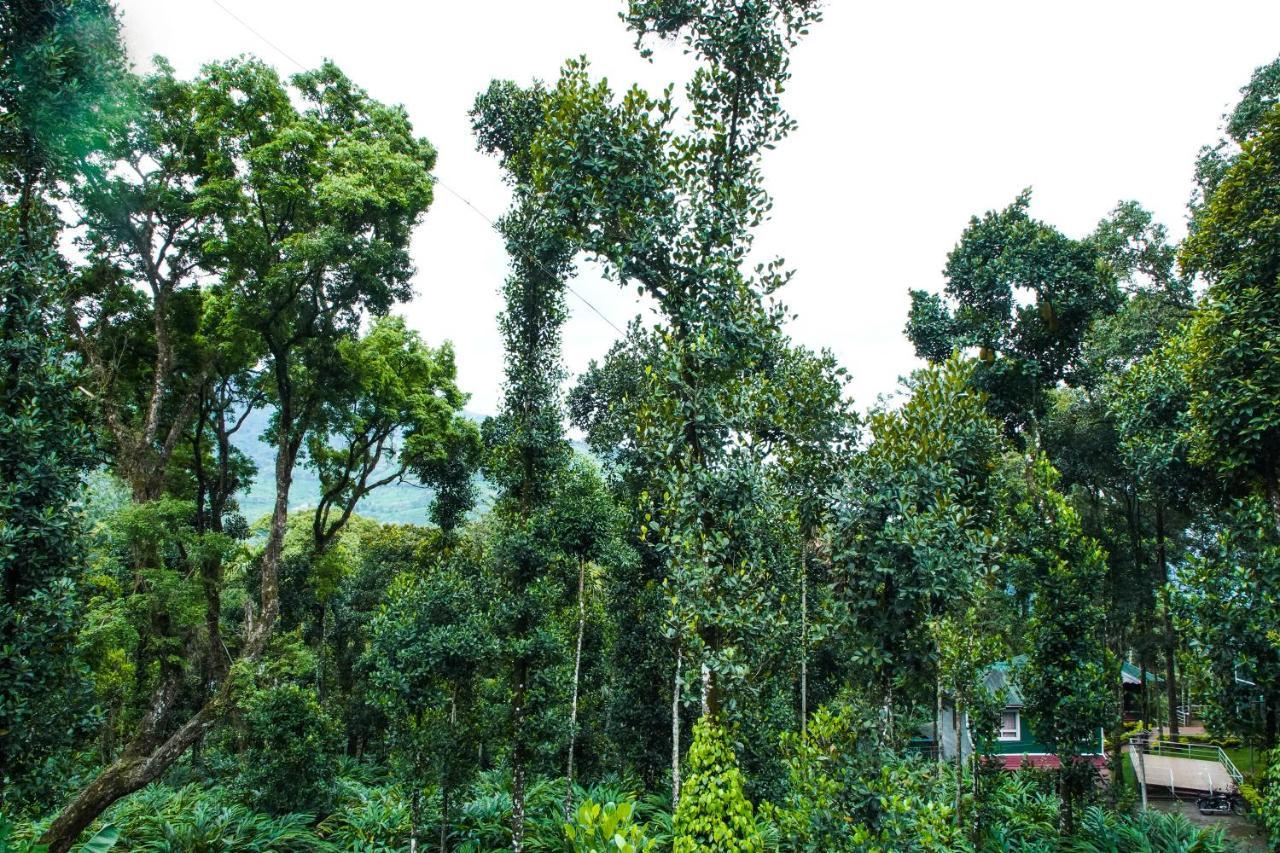 Hotel Tree Blanche Munnar Exterior foto